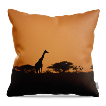Masai Giraffe Throw Pillows