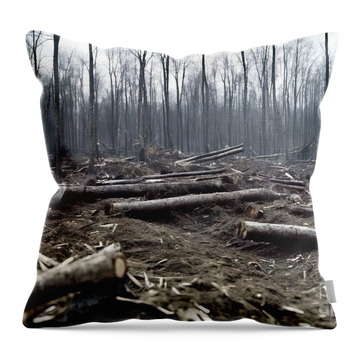 Deforestation Throw Pillows