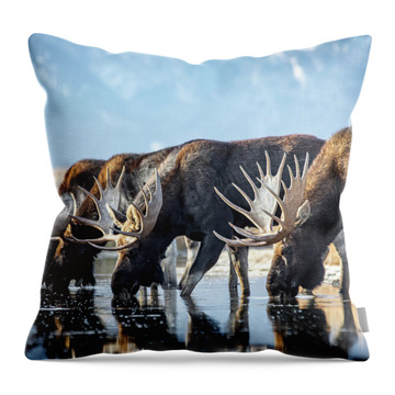 Moose River Throw Pillows