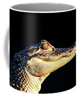 Alligator Mississipiensis Coffee Mugs