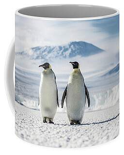 https://render.fineartamerica.com/images/rendered/search/frontright/mug/images-medium-5/1-emperor-penguins-on-the-sea-ice-alasdair-turner.jpg?&targetx=110&targety=0&imagewidth=580&imageheight=333&modelwidth=800&modelheight=333&backgroundcolor=D7D9D9&orientation=0&producttype=coffeemug-11
