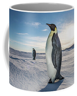 https://render.fineartamerica.com/images/rendered/search/frontright/mug/images-medium-5/1-emperor-penguins-on-the-surface-alasdair-turner.jpg?&targetx=155&targety=0&imagewidth=489&imageheight=333&modelwidth=800&modelheight=333&backgroundcolor=AEAEB0&orientation=0&producttype=coffeemug-11