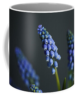Grape Hyacinth Coffee Mugs