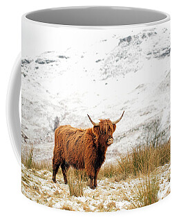Cow With Long Hair Over Its Face Coffee Mug by John Short - Pixels