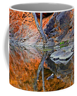 Serpentine Creek Outback Landscape Central Australia Australian Landscapes Coffee Mugs