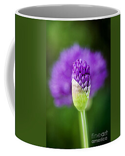 Flowerhead Coffee Mugs