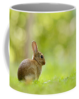 Easter Rabbit Coffee Mugs