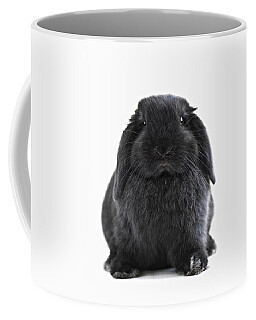 Lop Rabbit Coffee Mugs