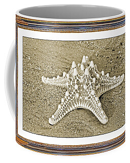Common Starfish Coffee Mugs