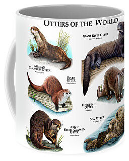 Giant River Otter Coffee Mugs
