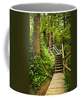 Wooden path in temperate rainforest Coffee Mug by Elena Elisseeva - Pixels
