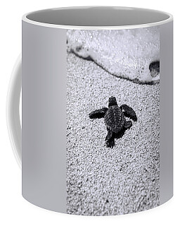 Sea Turtle Coffee Mugs