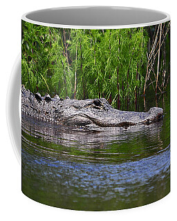 Crocodilia Coffee Mugs