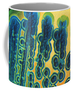 Streptomyces Coffee Mugs