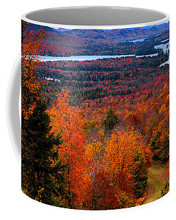 Fulton Chain Of Lakes Coffee Mugs