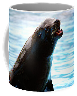 Antarctic Fur Seal Coffee Mugs