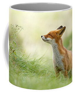 Fox Coffee Mugs