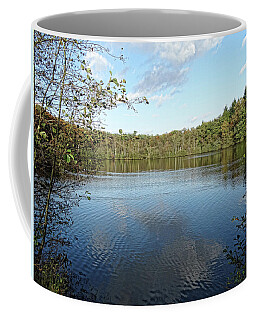 Swamp Coffee Mugs