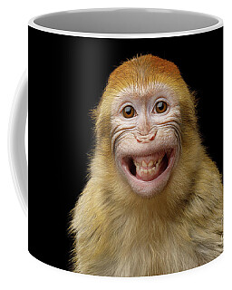 Barbary Macaque Coffee Mugs