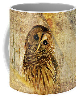 Barred Owl Coffee Mugs