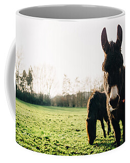 Donkey Coffee Mugs