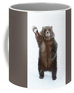 Alaska Wildlife Conservation Center Coffee Mugs