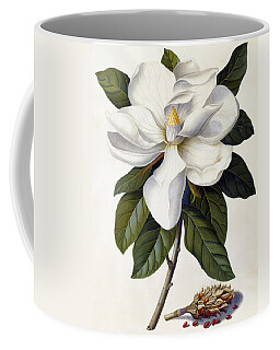 Botanical Coffee Mugs