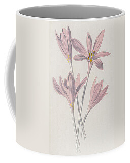 Meadow Saffron Coffee Mugs