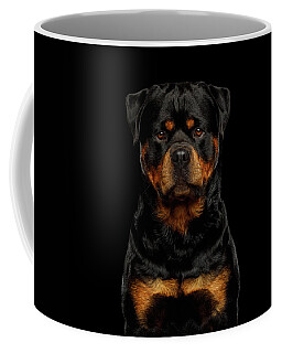 Rottweiler Coffee Mugs
