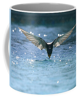 Swallow Falls Coffee Mugs