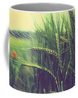 Designs Similar to Wheat by Jackie Russo