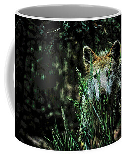 Designs Similar to Mexican Grey Wolf #2