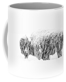Yellowstone National Park Coffee Mugs