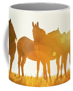 Chestnut Horse Coffee Mugs