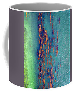 Kelp Forest Coffee Mugs