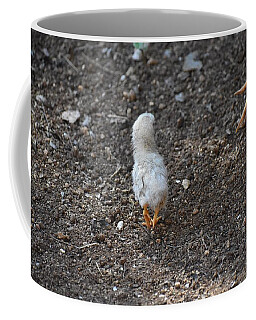 Baby Chick Coffee Mugs