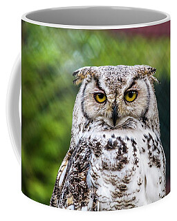 chamberlain coffee mug (owl)