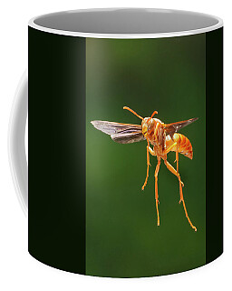 Social Wasp Coffee Mugs