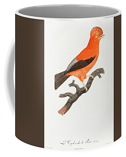 Oiseau Coffee Mugs