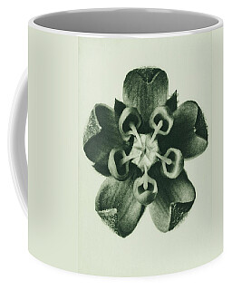 Milkweed Coffee Mugs