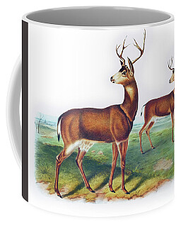 Black Tail Deer Coffee Mugs