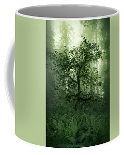 Old Growth Forest Coffee Mugs