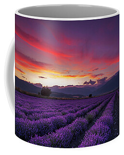 Lavender Coffee Mugs