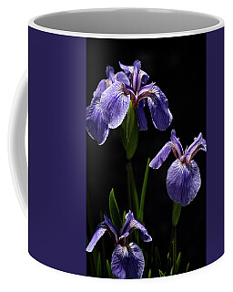Siberian Iris Coffee Mugs