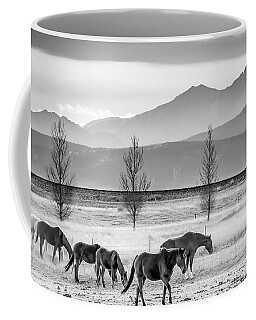 Colorado Cowgirl Coffee Mugs