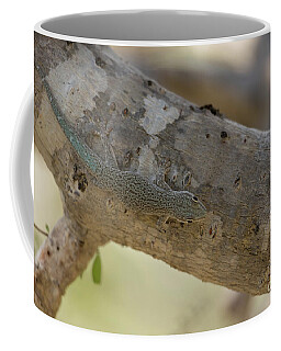 Day Gecko Coffee Mugs