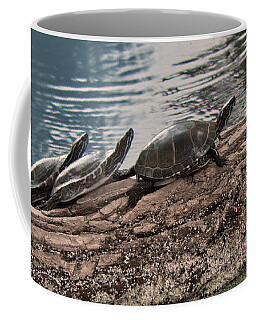 Western Painted Turtle Large Coffee Mug 15 Oz