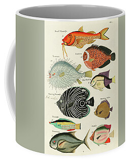 Marine Biology Coffee Mugs