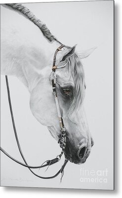 Horse Eye Metal Prints