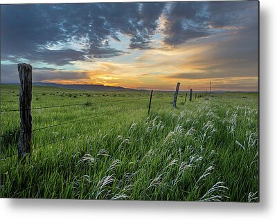 Shop for Cloud Metal Prints